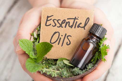 Top 4 Essential Oils That Promote Hair Growth and Tips to Use Them!