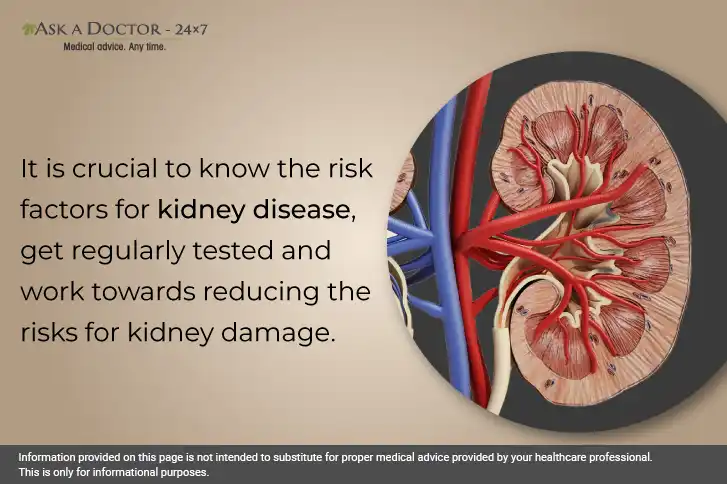 Things You Should Know About Kidney Function and Ways to Protect It