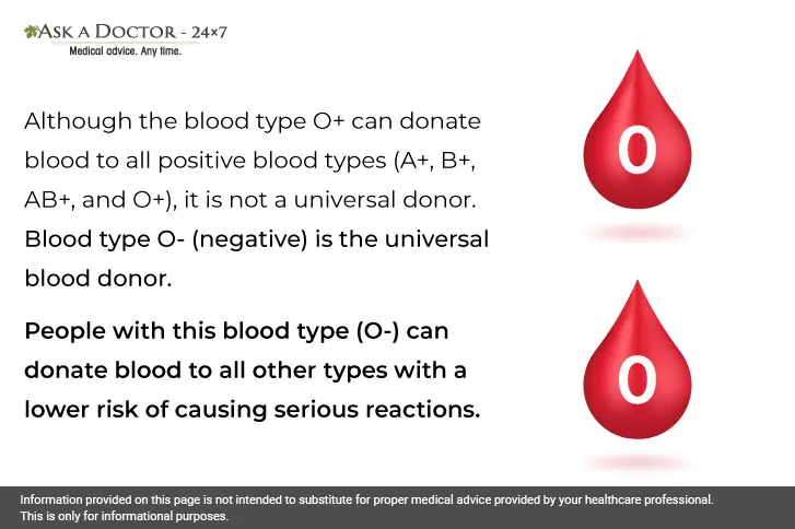 Decoding the Difference Between Plasma, Platelet, & Blood Donation