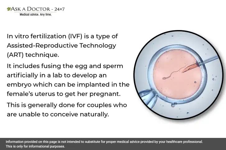 Top 8 FAQs On IVF