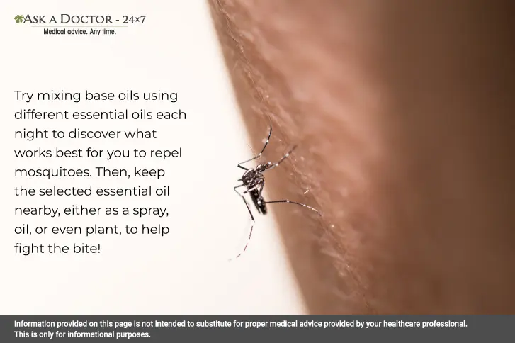 5 Essential Oils to Help Keep Mosquitoes Away This Summer