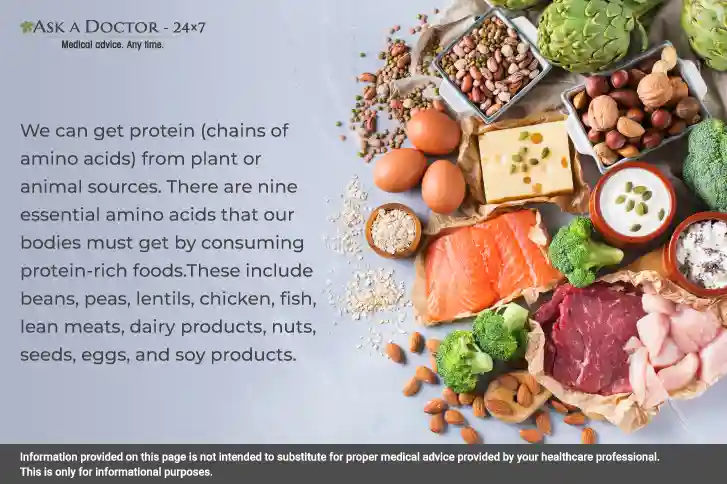 Struggling to Gain weight? Try These 5 Protein-Rich Diets Today