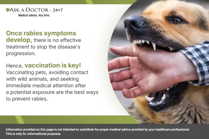 What Happens If a Human Gets Rabies and Steps to Stop Rabies Exposure