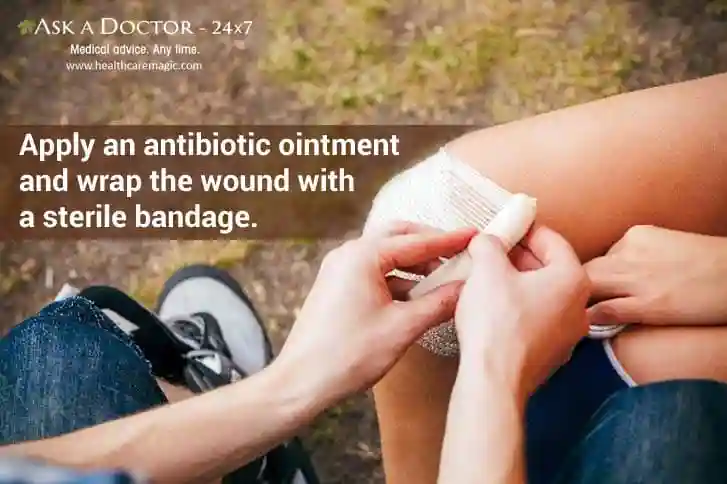   bandage the wound=