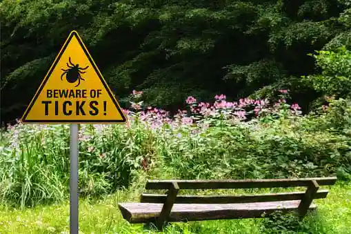 sign board reading beware of ticks in a park